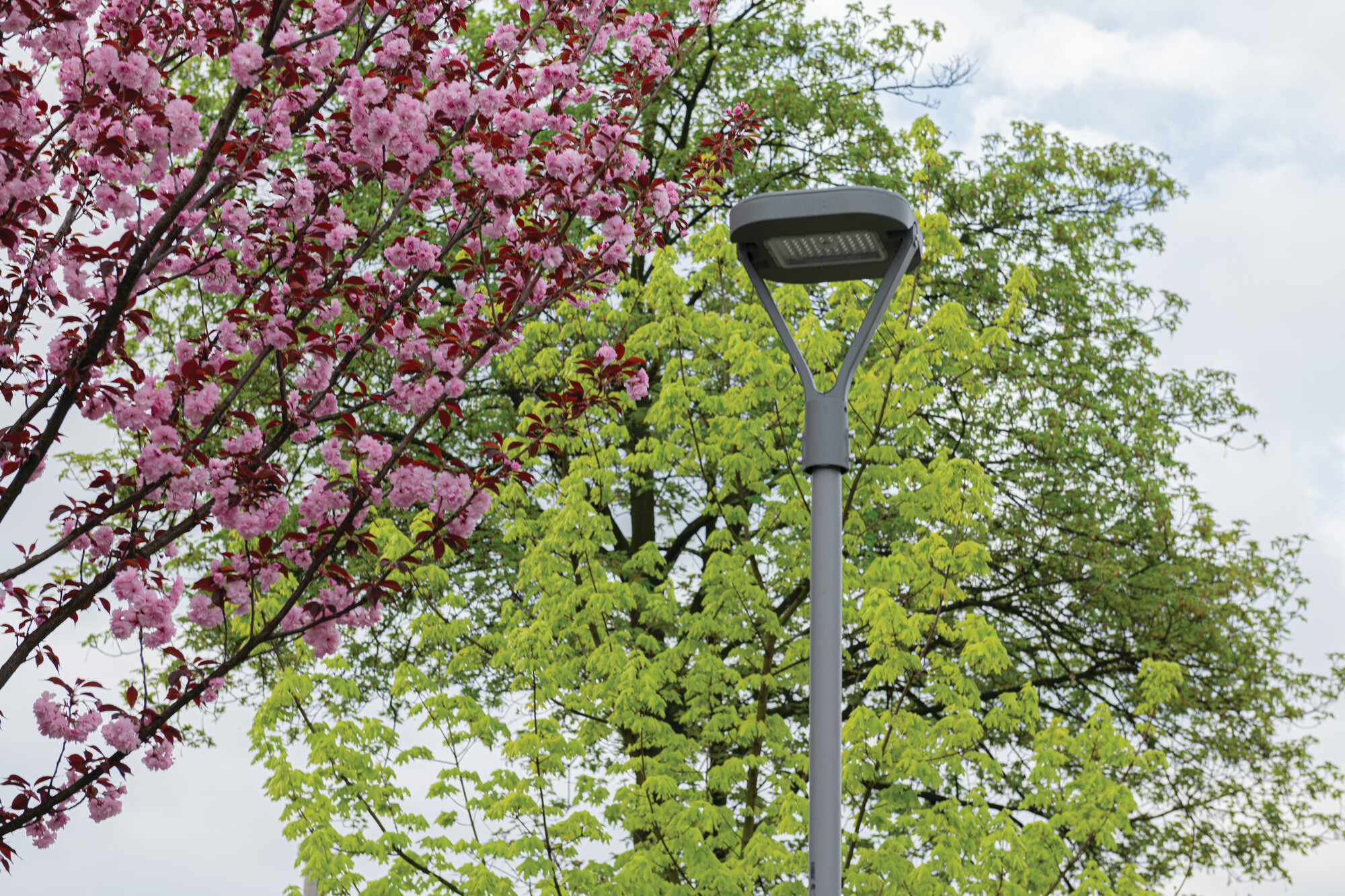 Kanlux 36435 Oprawa parkowa LED PARCOLI 30-50W CCT G KANLUX